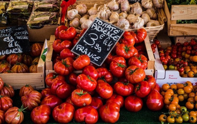 primeur-COURSEGOULES-min_tomatoes-4050245